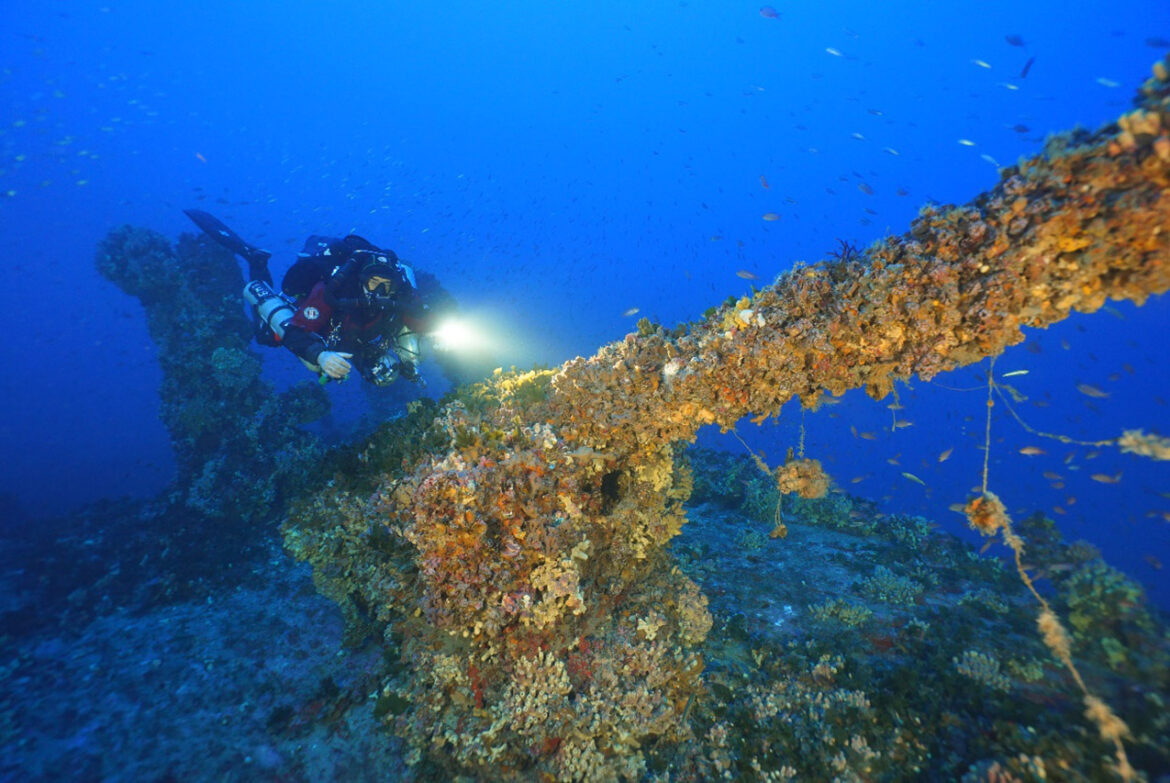 UNITED NATIONS ENDORSES HERITAGE MALTA’S WRECKLIFE PROJECT TO PROTECT UNDERWATER CULTURAL HERITAGE