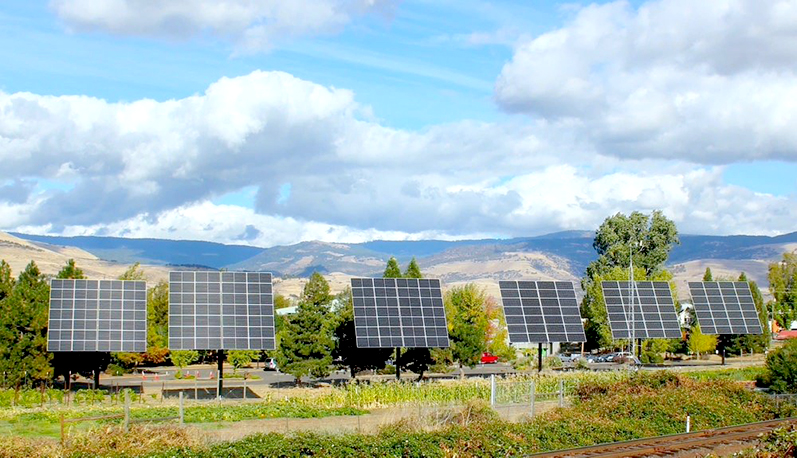 Elevated Solar Trackers Offer New Cash Crop for American Farmers and Ranchers