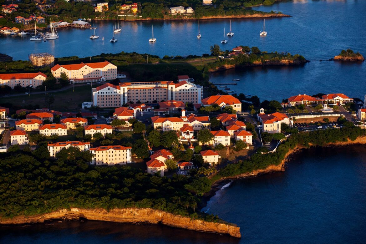 St. George’s University Unpacks the Allure of Plastic Surgery and the Road to Becoming a Surgeon