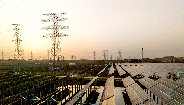 IRENA Says Global Renewable Capacity Rose by 692 GW in 2025
